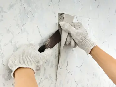 Wallpaper Removal